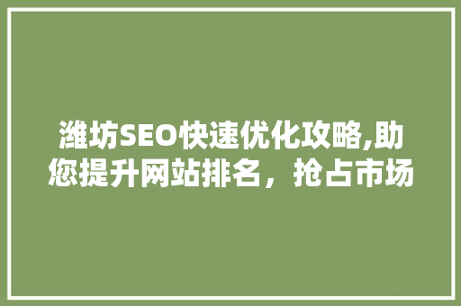 潍坊SEO快速优化攻略,助您提升网站排名，抢占市场先机