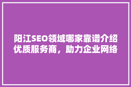 阳江SEO领域哪家靠谱介绍优质服务商，助力企业网络营销腾飞