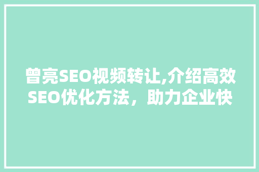 曾亮SEO视频转让,介绍高效SEO优化方法，助力企业快速崛起