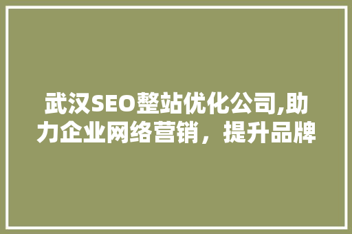 武汉SEO整站优化公司,助力企业网络营销，提升品牌影响力