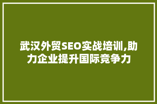 武汉外贸SEO实战培训,助力企业提升国际竞争力