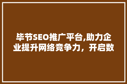 毕节SEO推广平台,助力企业提升网络竞争力，开启数字化营销新篇章