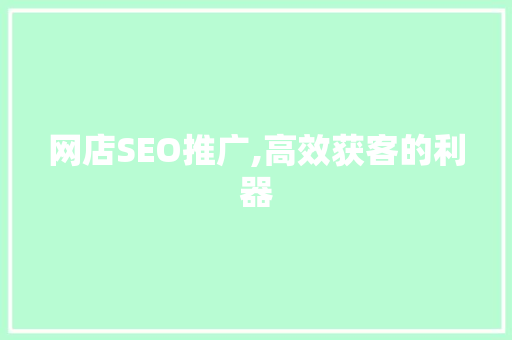 网店SEO推广,高效获客的利器