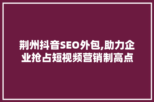 荆州抖音SEO外包,助力企业抢占短视频营销制高点