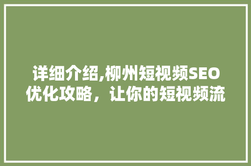 详细介绍,柳州短视频SEO优化攻略，让你的短视频流量翻倍！