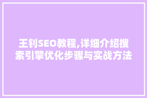 王钊SEO教程,详细介绍搜索引擎优化步骤与实战方法