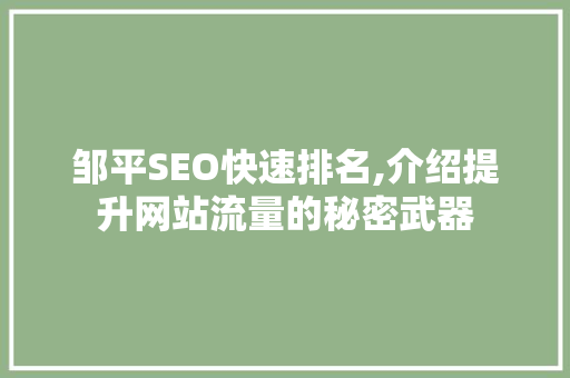 邹平SEO快速排名,介绍提升网站流量的秘密武器