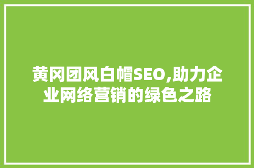 黄冈团风白帽SEO,助力企业网络营销的绿色之路