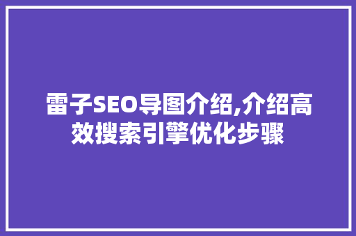 雷子SEO导图介绍,介绍高效搜索引擎优化步骤