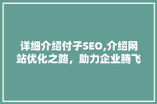 详细介绍付子SEO,介绍网站优化之路，助力企业腾飞