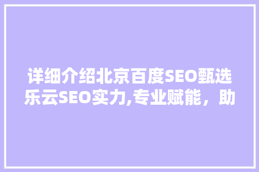 详细介绍北京百度SEO甄选乐云SEO实力,专业赋能，助力企业高效提升网络排名