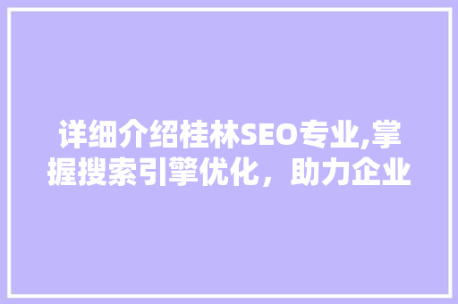 详细介绍桂林SEO专业,掌握搜索引擎优化，助力企业网络营销
