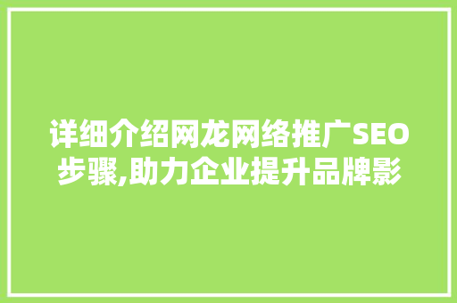 详细介绍网龙网络推广SEO步骤,助力企业提升品牌影响力