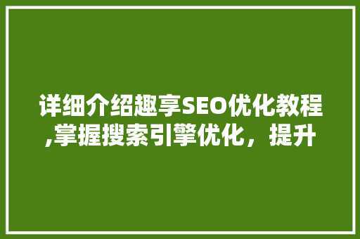 详细介绍趣享SEO优化教程,掌握搜索引擎优化，提升网站排名