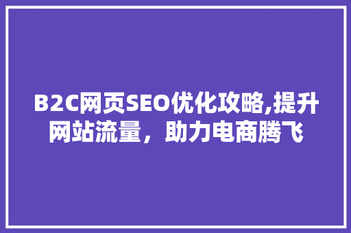 B2C网页SEO优化攻略,提升网站流量，助力电商腾飞