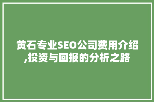 黄石专业SEO公司费用介绍,投资与回报的分析之路