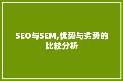 SEO与SEM,优势与劣势的比较分析