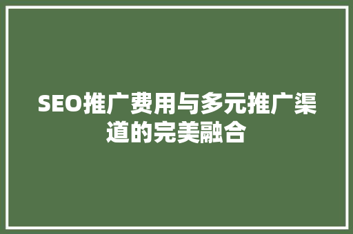 SEO推广费用与多元推广渠道的完美融合