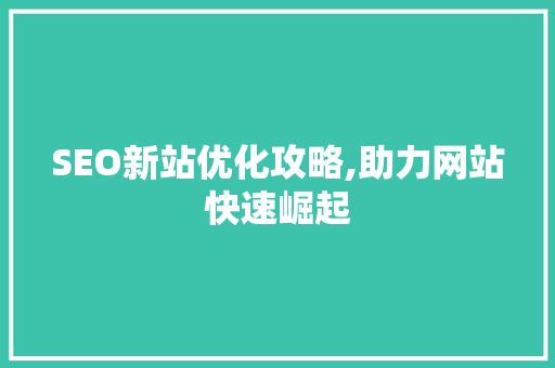 SEO新站优化攻略,助力网站快速崛起