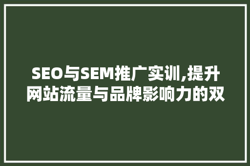 SEO与SEM推广实训,提升网站流量与品牌影响力的双剑合璧