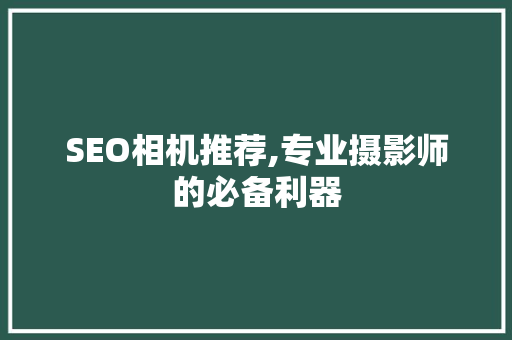 SEO相机推荐,专业摄影师的必备利器
