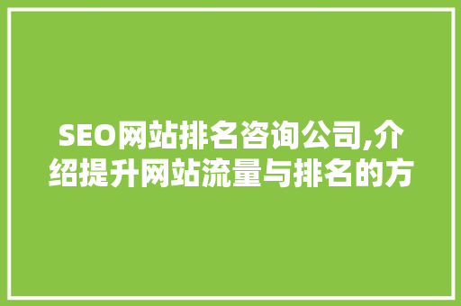 SEO网站排名咨询公司,介绍提升网站流量与排名的方法