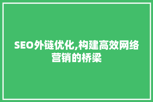 SEO外链优化,构建高效网络营销的桥梁