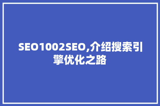 SEO1002SEO,介绍搜索引擎优化之路