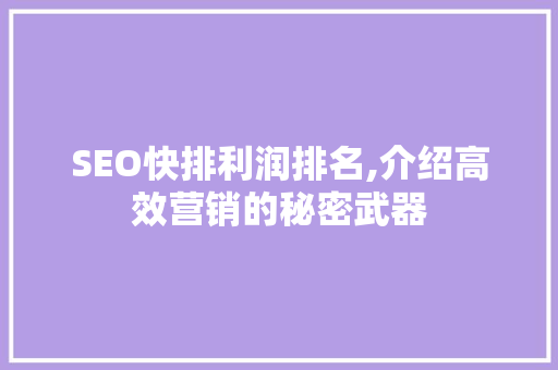 SEO快排利润排名,介绍高效营销的秘密武器