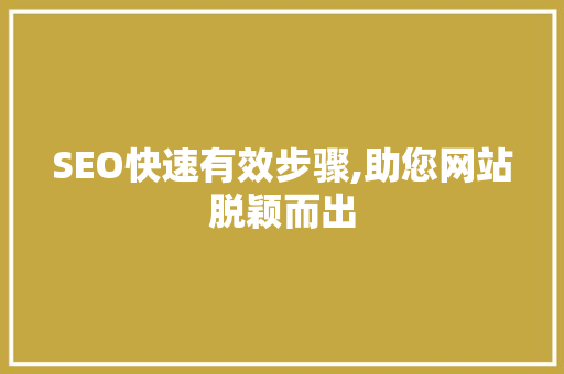 SEO快速有效步骤,助您网站脱颖而出