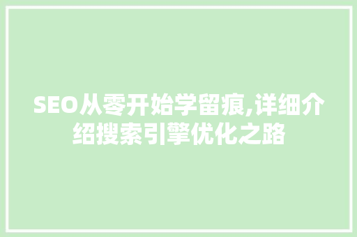 SEO从零开始学留痕,详细介绍搜索引擎优化之路
