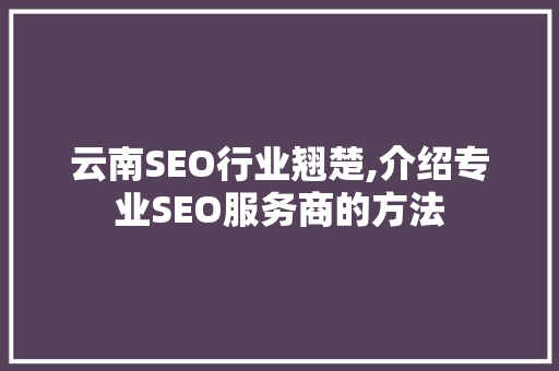 云南SEO行业翘楚,介绍专业SEO服务商的方法