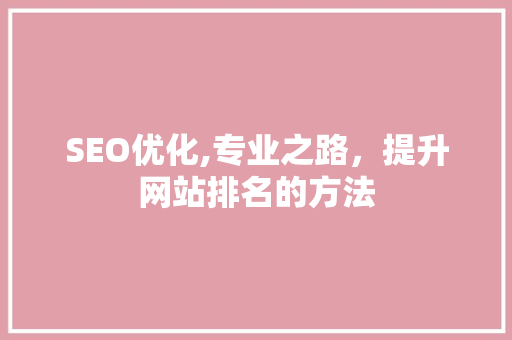 SEO优化,专业之路，提升网站排名的方法