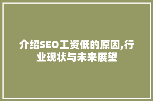 介绍SEO工资低的原因,行业现状与未来展望
