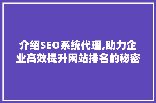 介绍SEO系统代理,助力企业高效提升网站排名的秘密武器