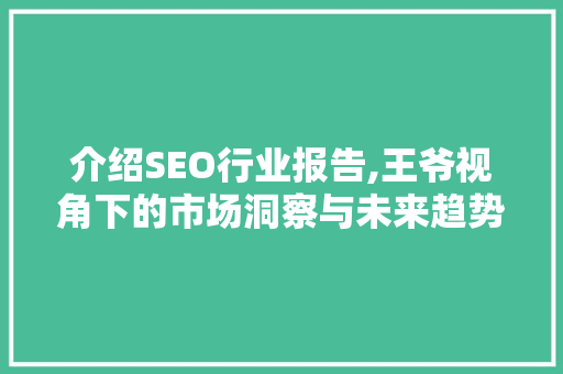 介绍SEO行业报告,王爷视角下的市场洞察与未来趋势