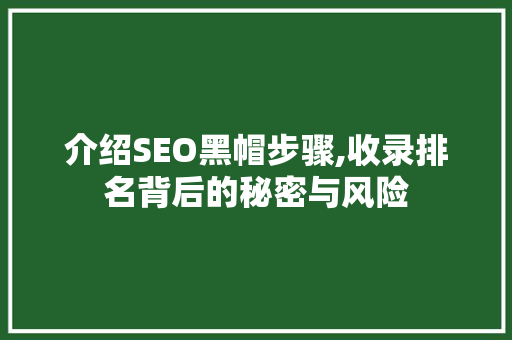 介绍SEO黑帽步骤,收录排名背后的秘密与风险