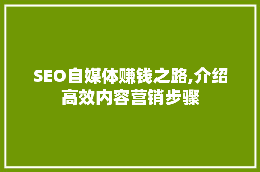 SEO自媒体赚钱之路,介绍高效内容营销步骤