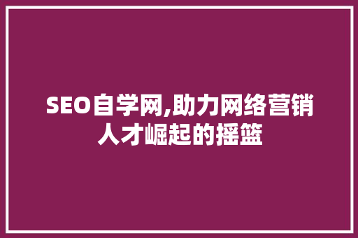SEO自学网,助力网络营销人才崛起的摇篮