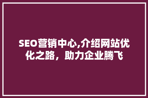 SEO营销中心,介绍网站优化之路，助力企业腾飞
