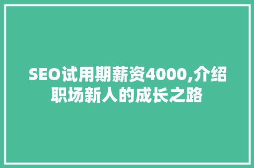 SEO试用期薪资4000,介绍职场新人的成长之路
