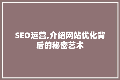 SEO运营,介绍网站优化背后的秘密艺术