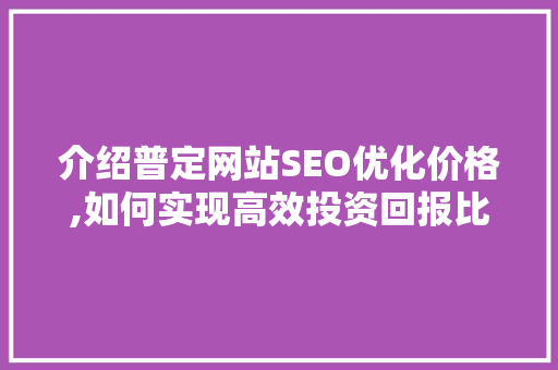 介绍普定网站SEO优化价格,如何实现高效投资回报比