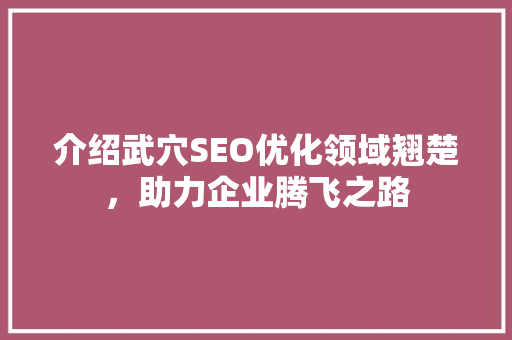 介绍武穴SEO优化领域翘楚，助力企业腾飞之路