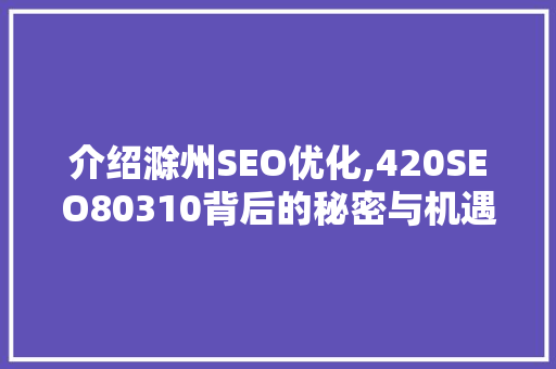 介绍滁州SEO优化,420SEO80310背后的秘密与机遇