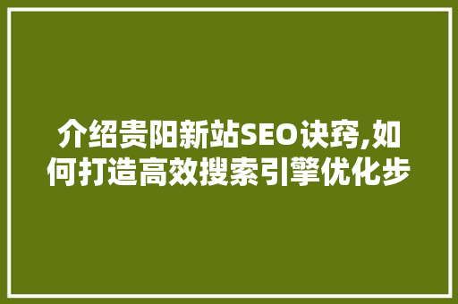 介绍贵阳新站SEO诀窍,如何打造高效搜索引擎优化步骤