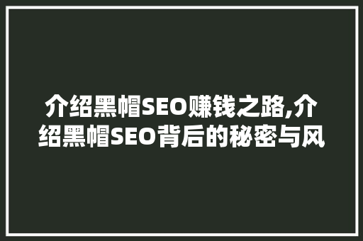 介绍黑帽SEO赚钱之路,介绍黑帽SEO背后的秘密与风险