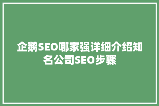 企鹅SEO哪家强详细介绍知名公司SEO步骤