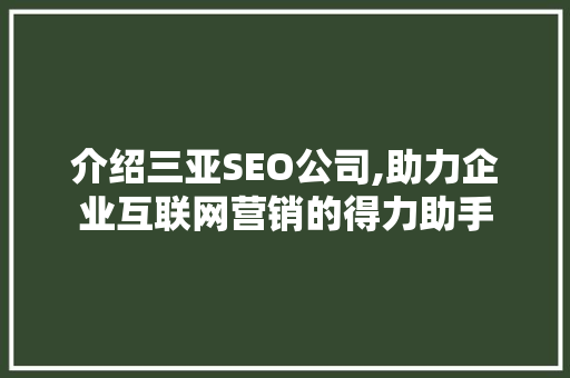介绍三亚SEO公司,助力企业互联网营销的得力助手