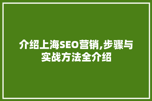 介绍上海SEO营销,步骤与实战方法全介绍
